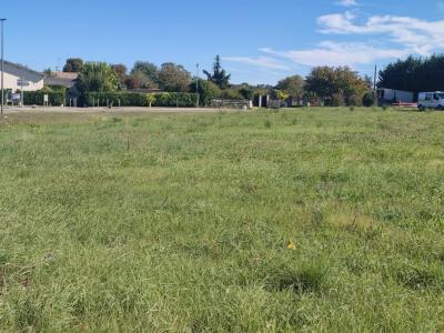 Vente Terrain TAILLAN-MEDOC 33320