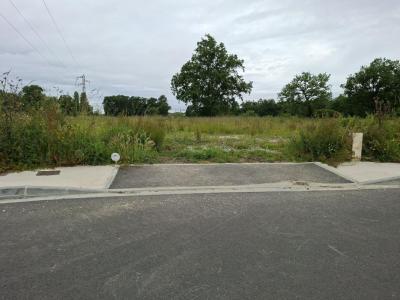Vente Terrain SAINTE-EULALIE 33560