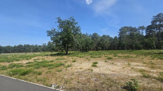 Vente Terrain VENDAYS-MONTALIVET 33930