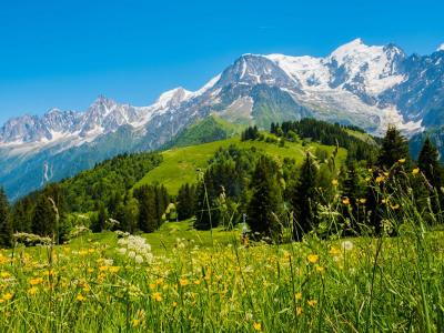 Vente Terrain CLUSES 66480