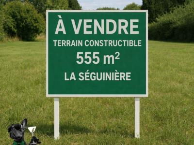Vente Terrain SEGUINIERE 49280