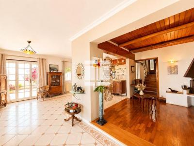 Vente Prestige SAN-MARTINO-DI-LOTA 20200