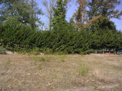 Vente Terrain BOUSCAT 33110