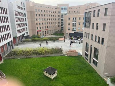 Vente Appartement 3 pi�ces MONTIGNY-LE-BRETONNEUX 78180