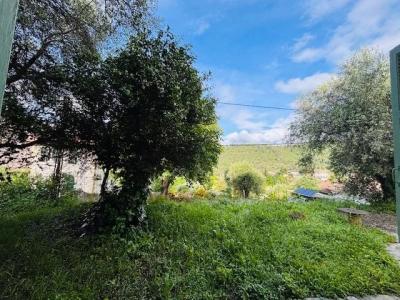 Location Appartement 2 pi�ces CONTES 06390