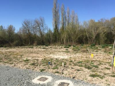 Vente Terrain CAVIGNAC 33620