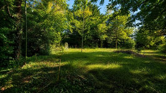 Vente Terrain GAILLAC 81600