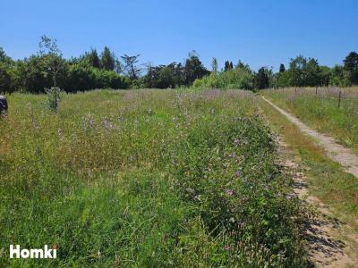 Vente Terrain SAINT-NAZAIRE 66140