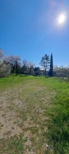 Vente Terrain VACQUEYRAS 84190