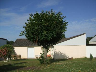 Location Maison 3 pi�ces SAINT-SAUVEUR-EN-PUISAYE 89520