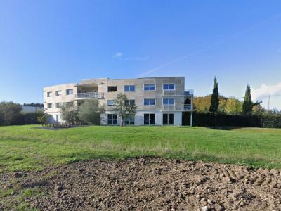 Vente Appartement 2 pi�ces PELLOUAILLES-LES-VIGNES 49112