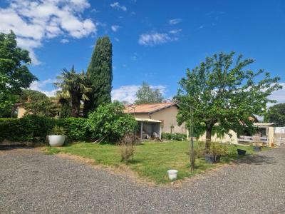 Vente Terrain MONTLAUR 31450