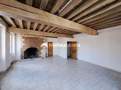 Vente Appartement 10 pi�ces TROYES 10000