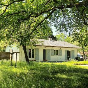 Vente Maison 6 pi�ces SAINT-MAGNE 33125
