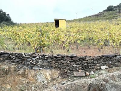 Vente Terrain COLLIOURE 66190