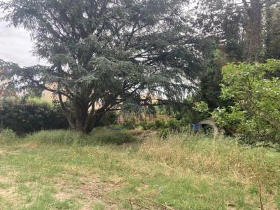 Vente Terrain PERPIGNAN 66000