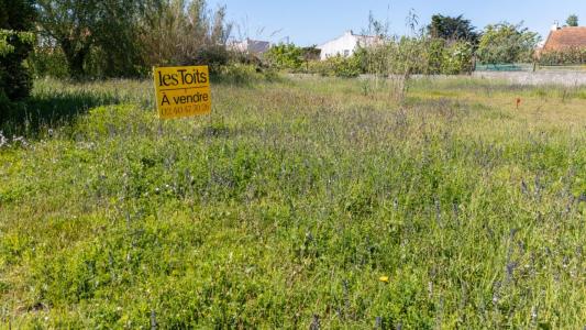 Vente Terrain GUERINIERE 85680