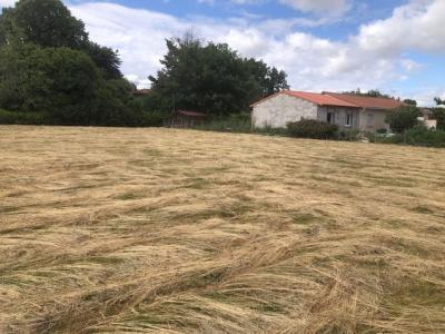 Vente Terrain LAVELANET-DE-COMMINGES 31220