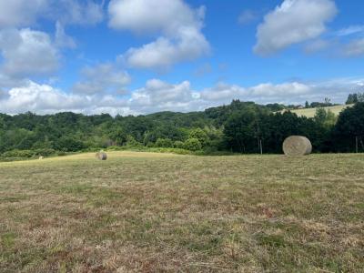 Vente Terrain SAINT-YRIEIX-LA-PERCHE 87500