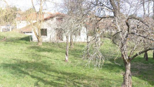 Vente Maison 4 pi�ces CUSSAC-SUR-LOIRE 43370