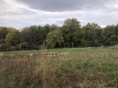 Vente Terrain BOULOC 31620