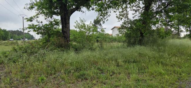 Vente Terrain PARENTIS-EN-BORN 40160