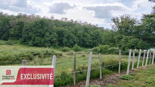 Vente Terrain BRIVE-LA-GAILLARDE 19100