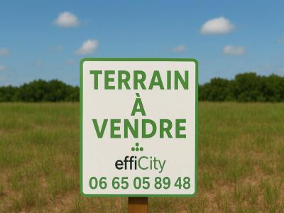 Vente Terrain LANGEAIS 37130