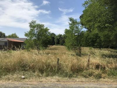 Vente Terrain BISCARROSSE 40600