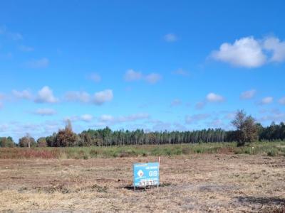 Vente Terrain BIGANOS 33380