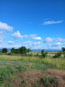 Vente Maison 5 pi�ces SAINTE-CROIX-EN-PLAINE 68127