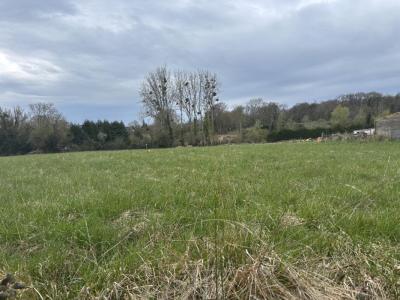 Vente Terrain MONTMERREI 61570