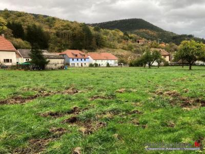 Vente Terrain ROMBACH-LE-FRANC 68660