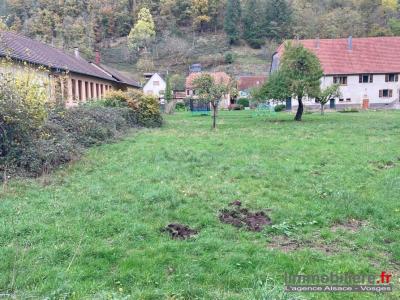 Vente Terrain ROMBACH-LE-FRANC 68660