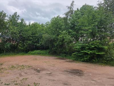 Vente Terrain VAGNEY 88120
