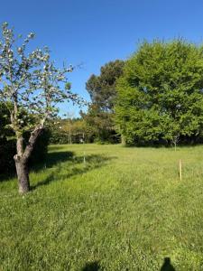 Vente Maison DAGNEUX 01120