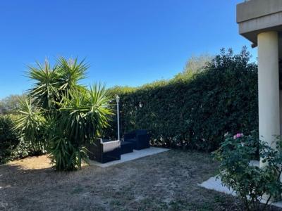 Location Appartement 2 pi�ces BIGUGLIA 20620