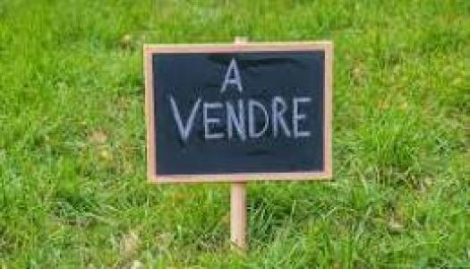 Vente Terrain PAMPELONNE 81190
