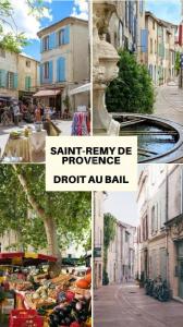 Vente Commerce SAINT-REMY-DE-PROVENCE 13210