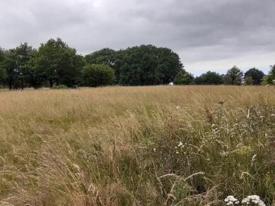 Vente Terrain SAINT-PRIEST-SOUS-AIXE 87700