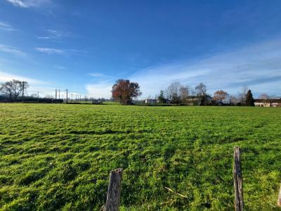 Vente Terrain PONT-DE-VAUX 01190