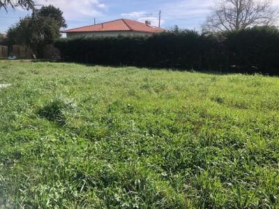 Vente Terrain FENOUILLET 31150