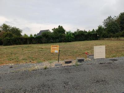 Vente Terrain MARTIGNE-BRIAND 49540
