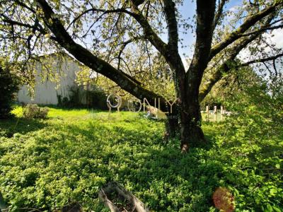 Vente Terrain CHASSELAY 69380