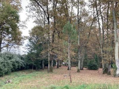 Vente Terrain TAILLAN-MEDOC 33320
