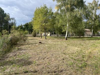 Vente Terrain VENSAC 33590