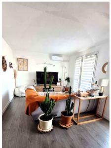 Location Appartement 3 pi�ces MARSEILLE-11EME-ARRONDISSEMENT 13011