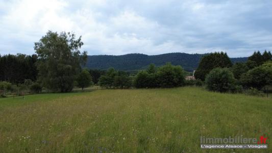 Vente Terrain ETIVAL-CLAIREFONTAINE 88480