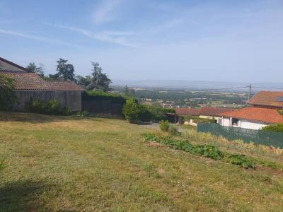 Vente Terrain SAINT-GALMIER 42330