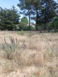 Vente Terrain SAINT-JEAN-DE-MONTS 85160